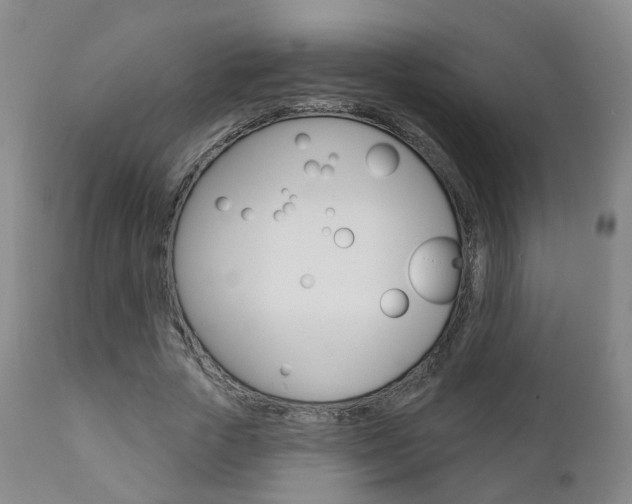 X0000110860729200906180945