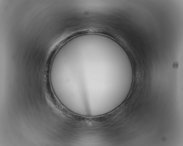 X0000110860730200906180945
