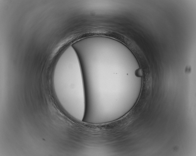 X0000110860731200906180945