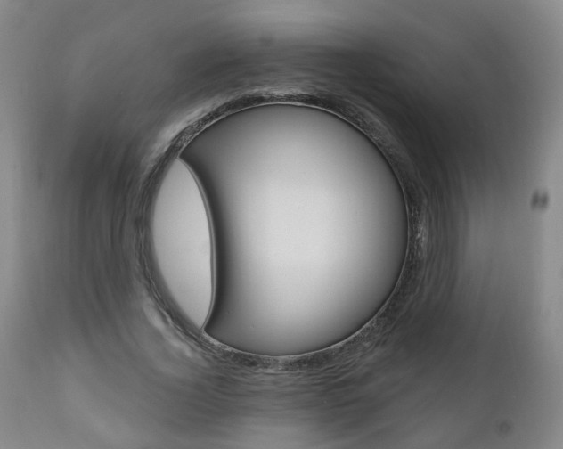 X0000110860732200906180945
