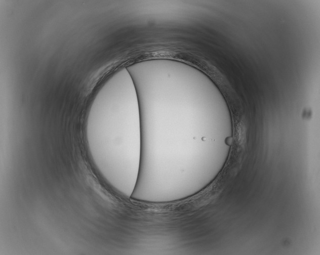 X0000110860733200906180945