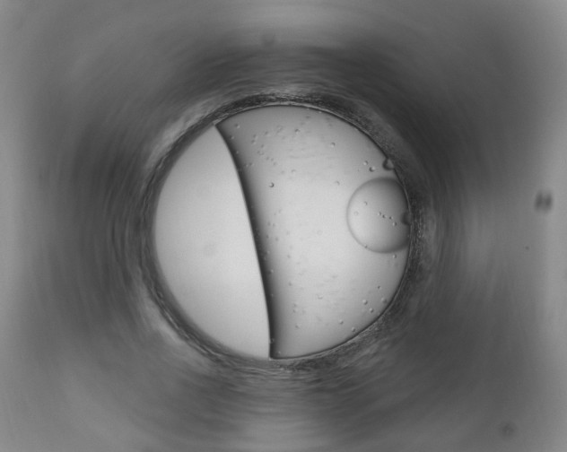 X0000110860734200906180945