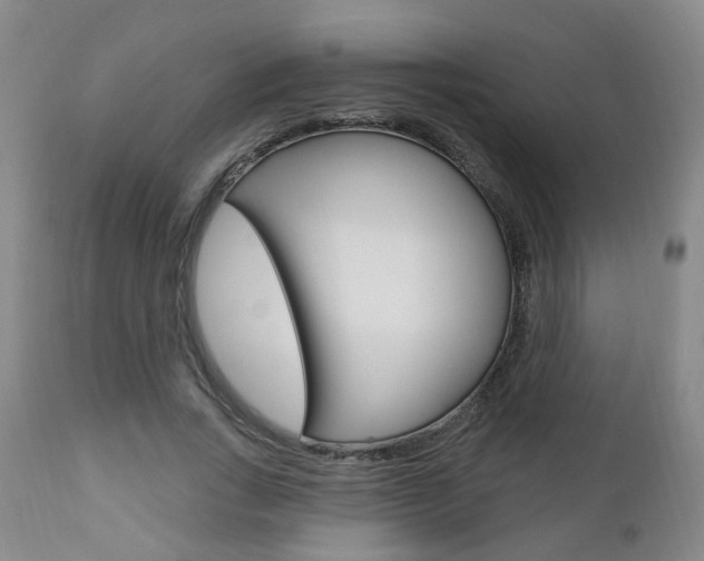 X0000110860735200906180945