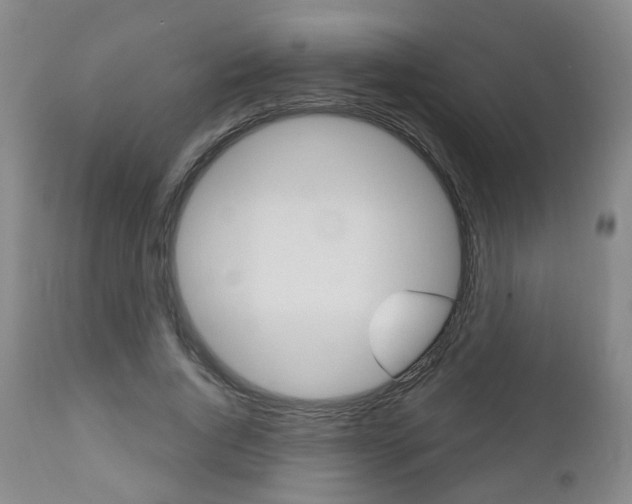 X0000110860736200906180945