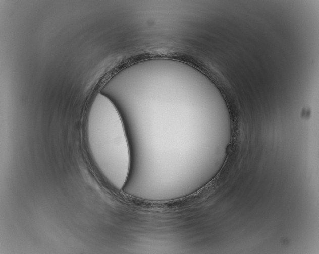 X0000110860738200906180945
