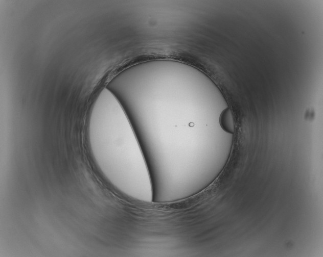 X0000110860739200906180945