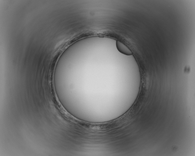 X0000110860740200906180945