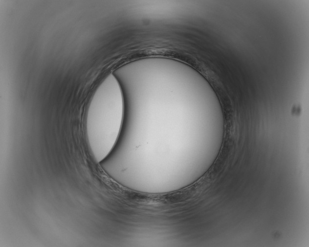 X0000110860743200906180945
