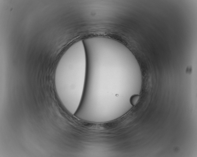 X0000110860747200906180945