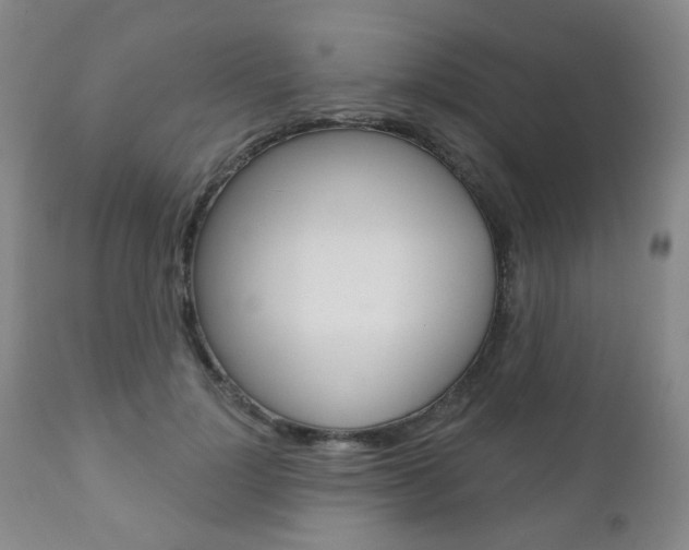X0000110860748200906180945