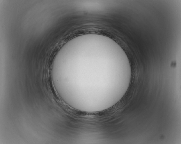 X0000110860751200906180945