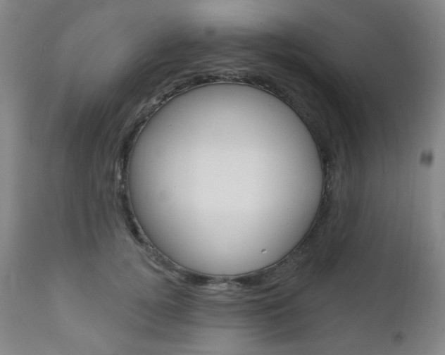 X0000110860752200906180945