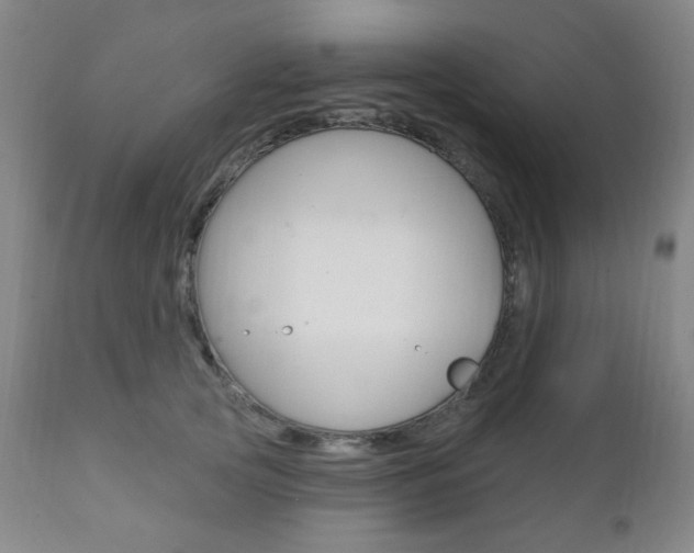 X0000110860753200906180945