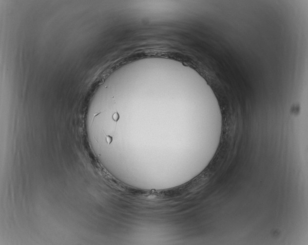X0000110860755200906180945
