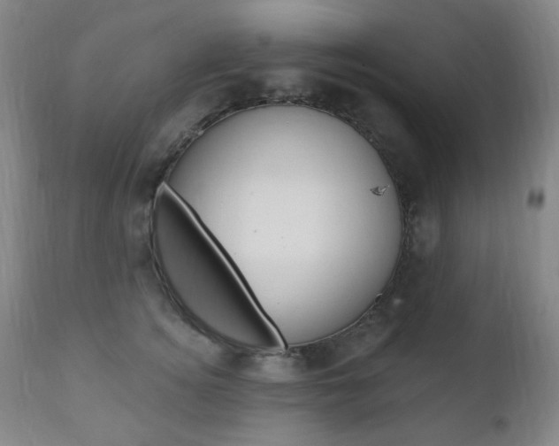 X0000110860756200906180945
