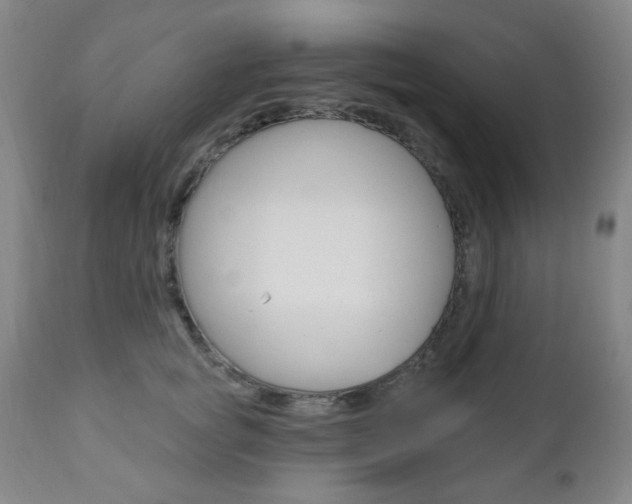 X0000110860757200906180945