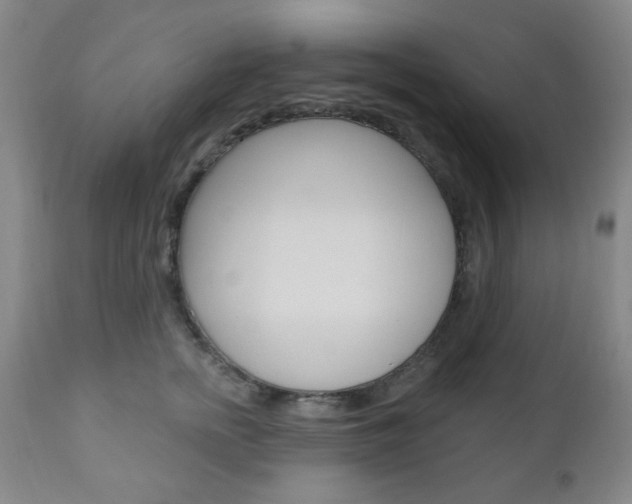 X0000110860758200906180945