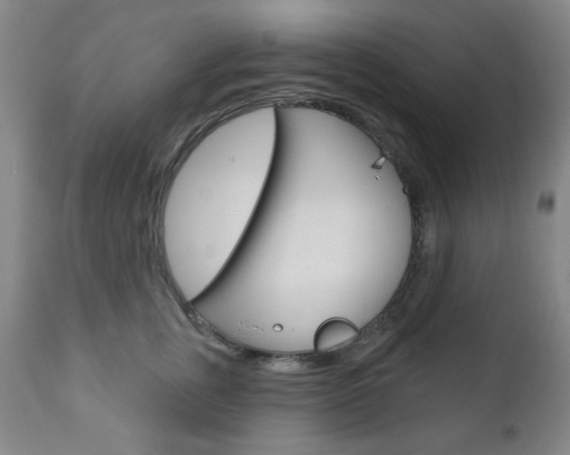 X0000110860759200906180945