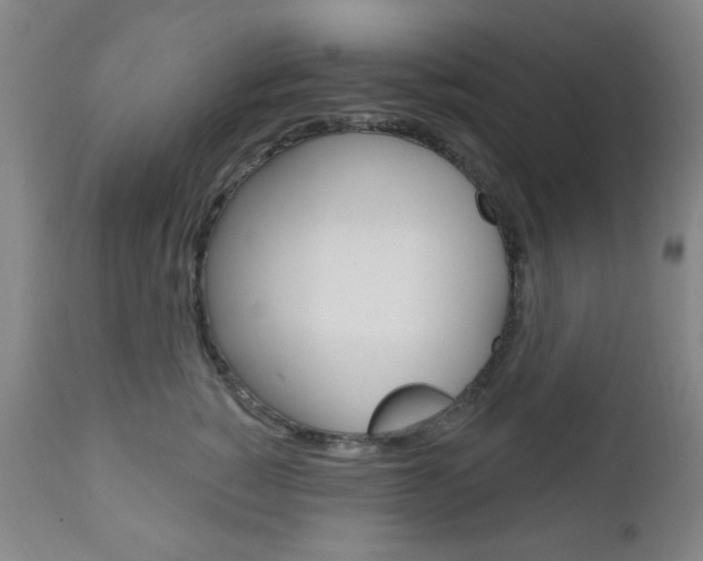 X0000110860760200906180945