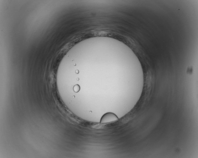 X0000110860761200906180945
