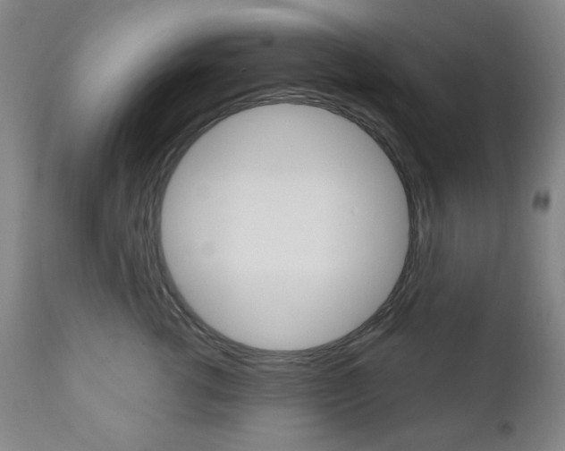 X0000110860762200906180945