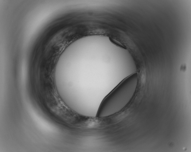 X0000110860764200906180945