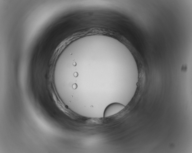 X0000110860765200906180945