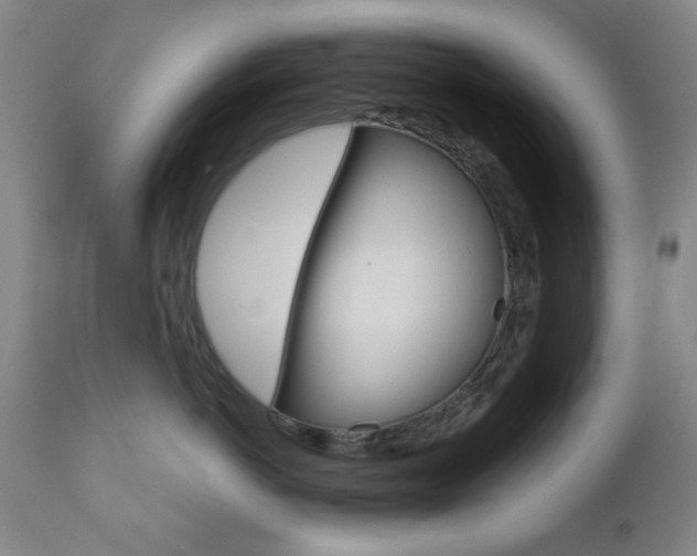 X0000110860766200906180945