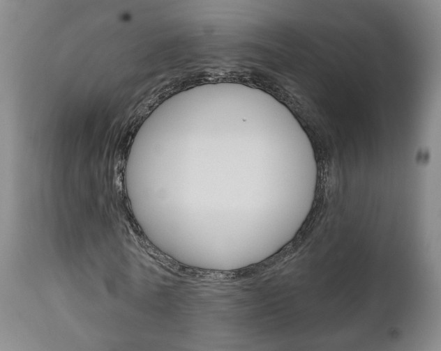 X0000110860770200906180944