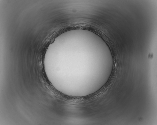 X0000110860771200906180944