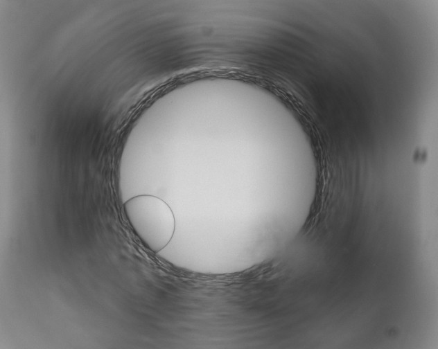 X0000110860773200906180944