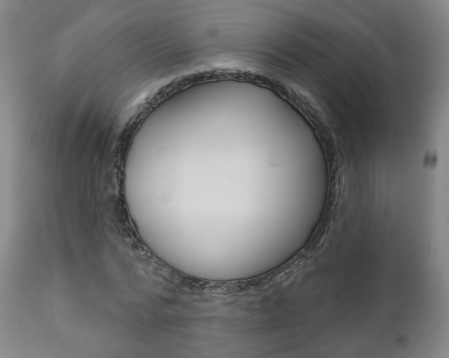 X0000110860776200906180944