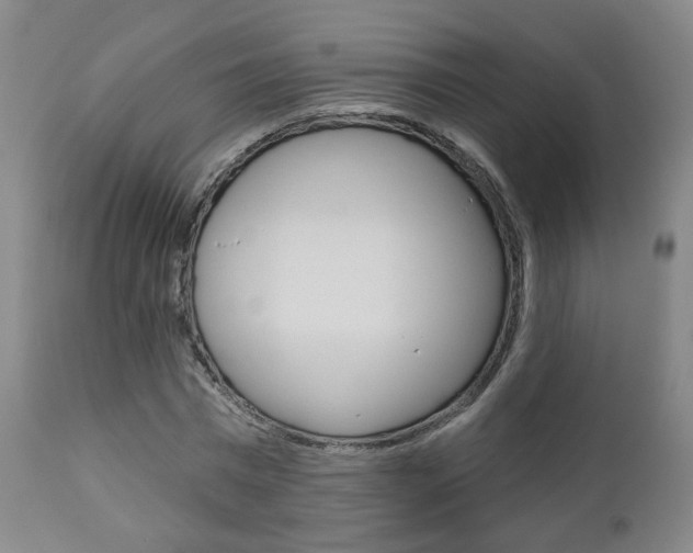 X0000110860777200906180944