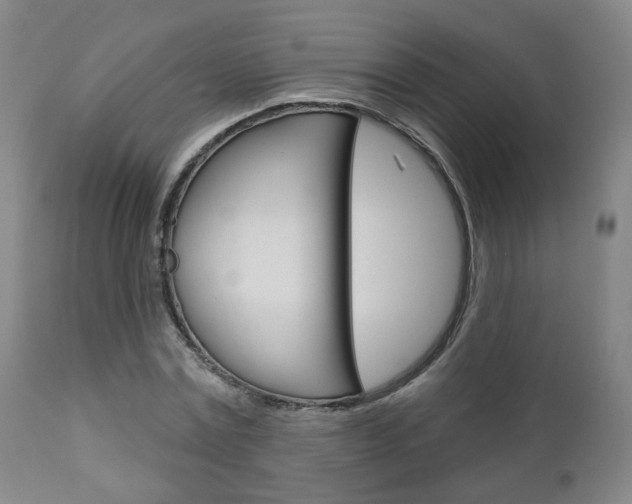 X0000110860779200906180944