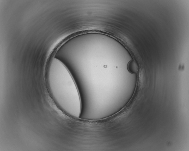 X0000110860780200906180944