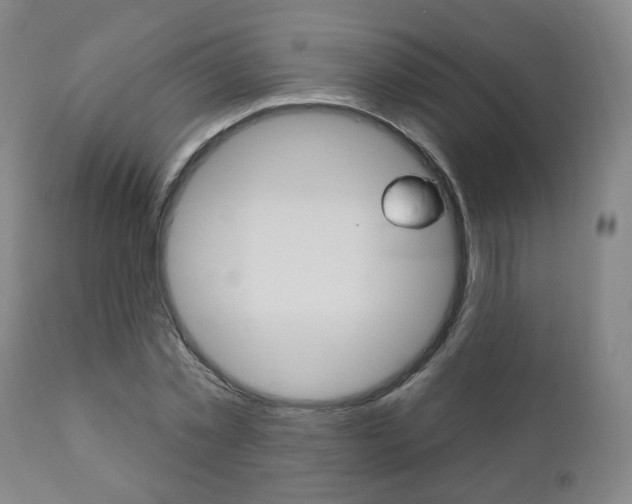 X0000110860781200906180944