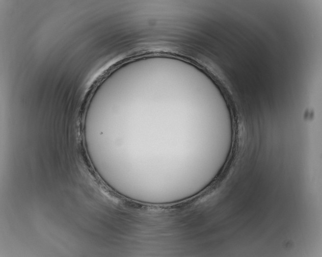 X0000110860782200906180944