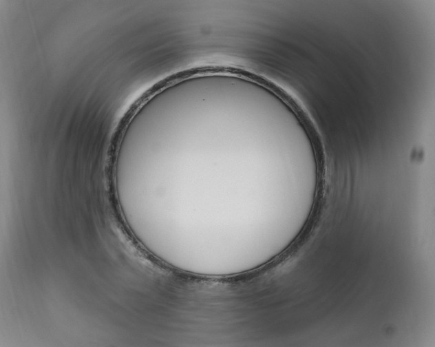 X0000110860783200906180944