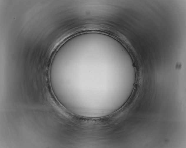 X0000110860786200906180944