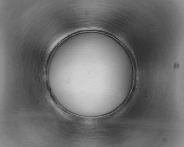 X0000110860789200906180944
