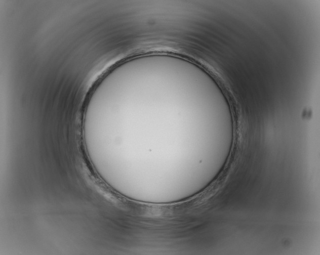 X0000110860790200906180944
