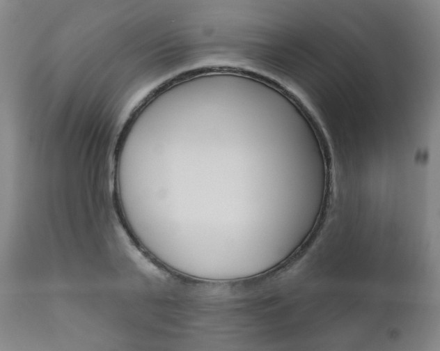 X0000110860791200906180944