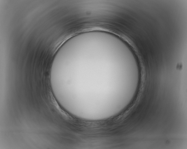 X0000110860793200906180944