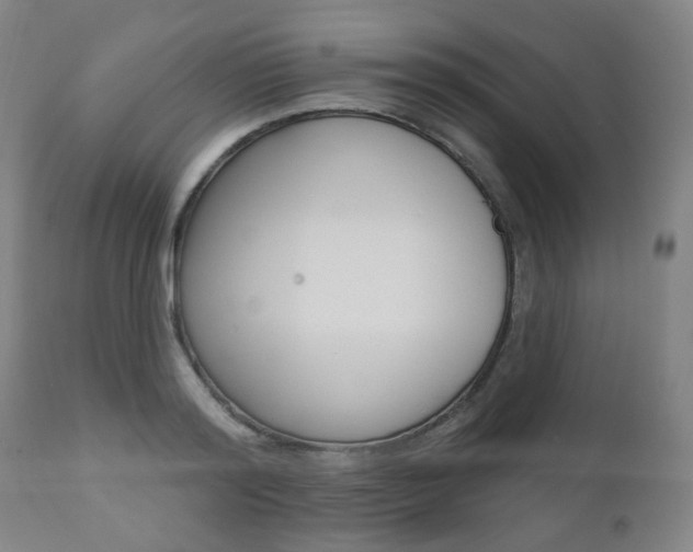 X0000110860796200906180944