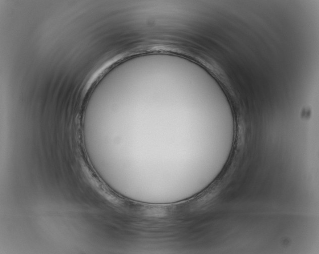 X0000110860798200906180944