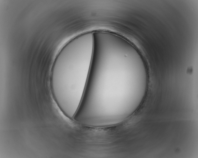 X0000110860799200906180944