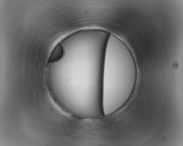 X0000110860805200906180944