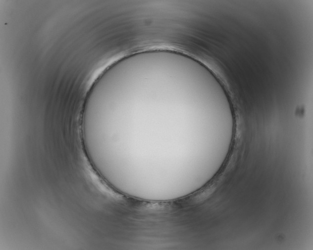 X0000110860806200906180944