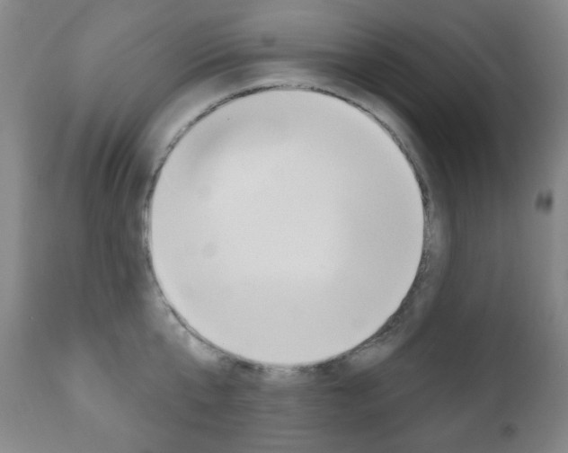 X0000110860807200906180944