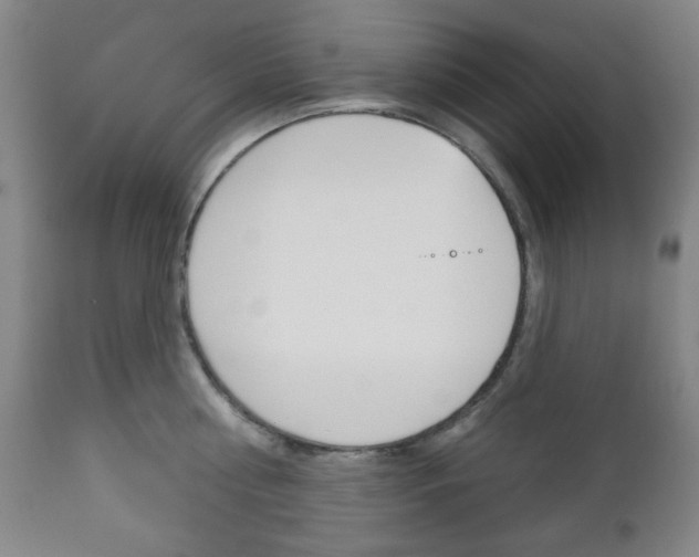 X0000110860810200906180944
